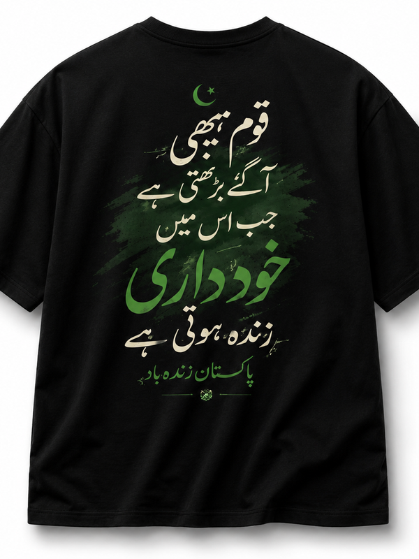 Zynclore Independence Edition Oversized Tee 🇵🇰